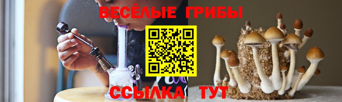 Галлюциногенные грибы MAGIC MUSHROOMS Новоалтайск